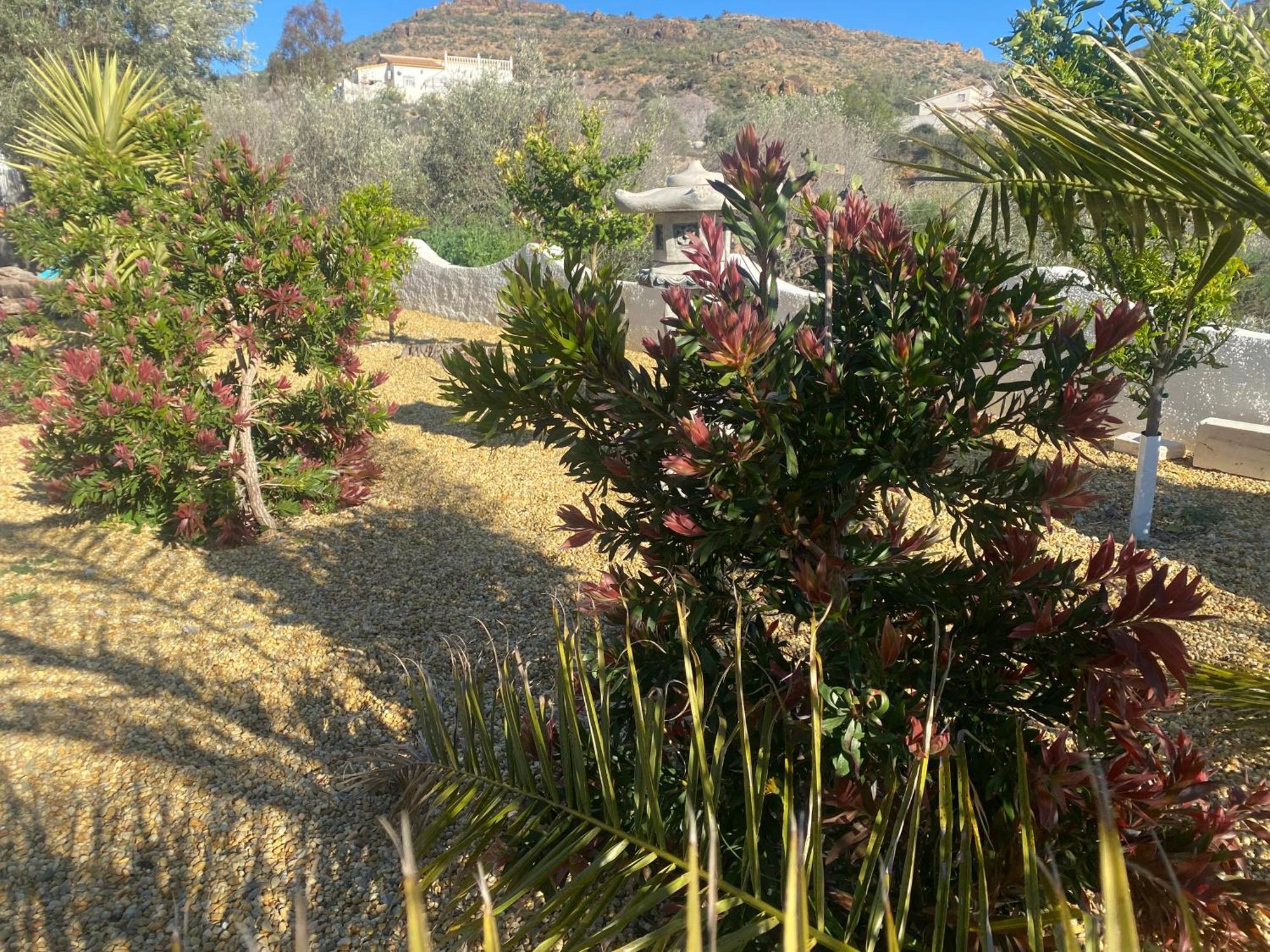 Cortijo Los Corazones Cantoria Exteriér fotografie
